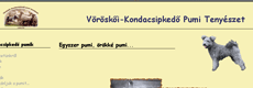 kondacsipkedo